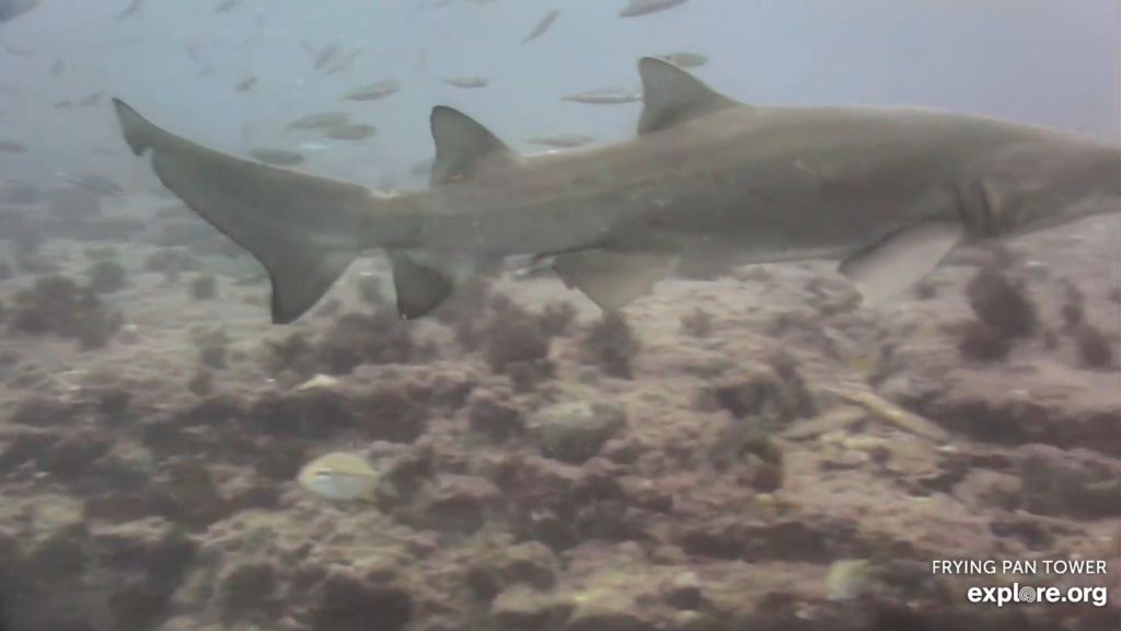 3870fa0a-4819-4eff-8bd9-e082111d7288