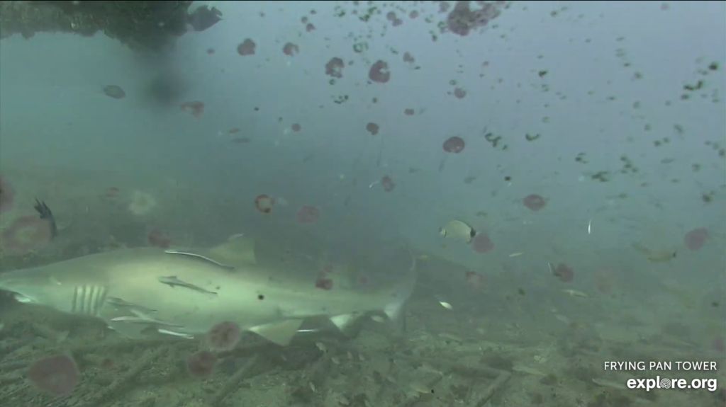 b0ad0269-6d3d-4623-9f40-e1d9b4fcf7f5