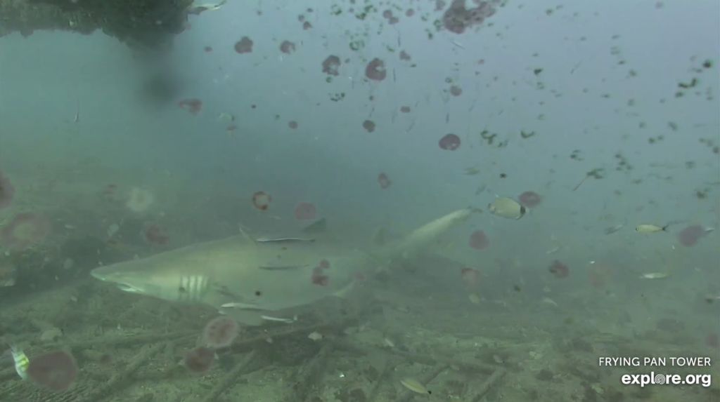 b0ad0269-6d3d-4623-9f40-e1d9b4fcf7f5