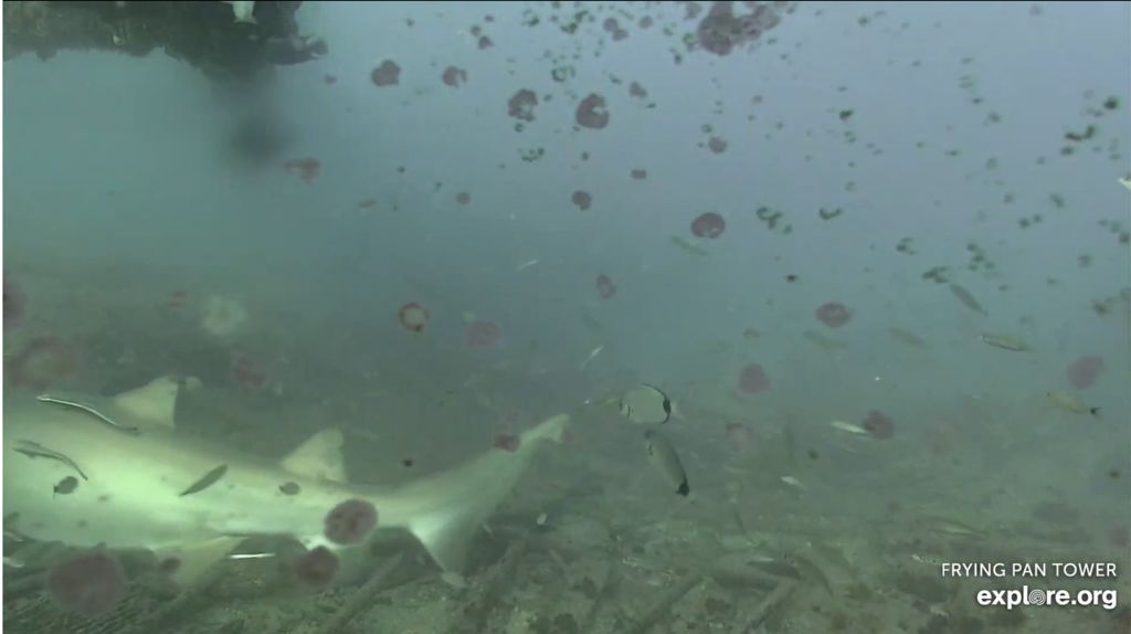 b0ad0269-6d3d-4623-9f40-e1d9b4fcf7f5