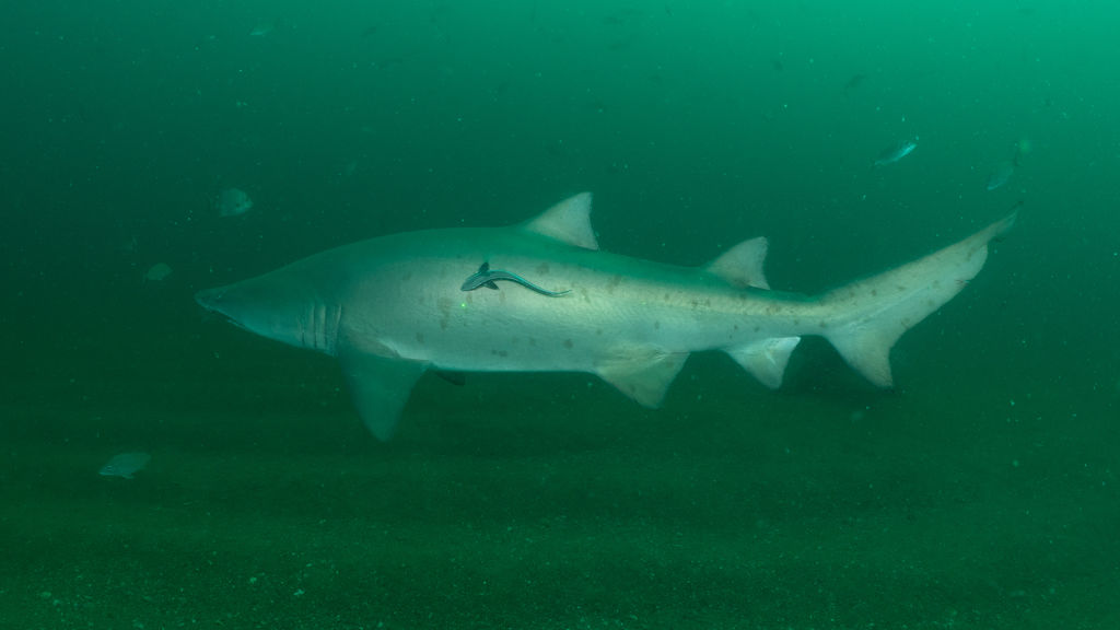 71d03053-57de-49ff-83f9-975392156b16