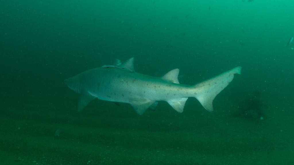 71d03053-57de-49ff-83f9-975392156b16