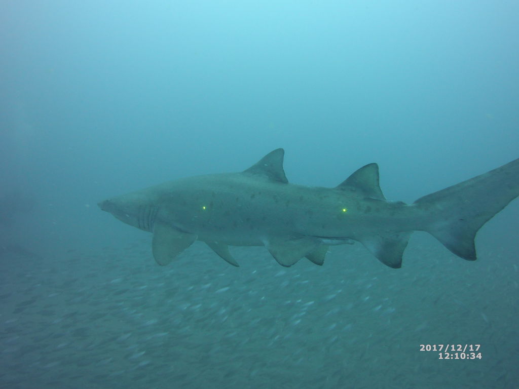 66c4b731-b8f1-4ce0-b1a8-21a1dbf6bfdf