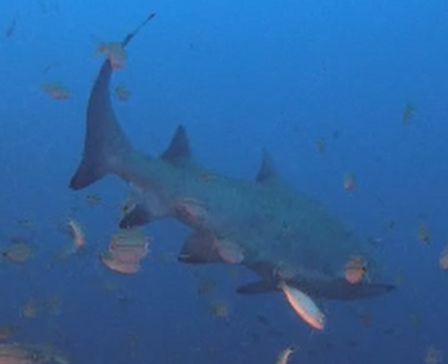 8e3def7a-dd80-4610-a25d-c430a6af7f68