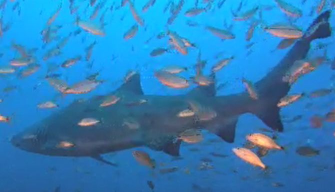 8e3def7a-dd80-4610-a25d-c430a6af7f68