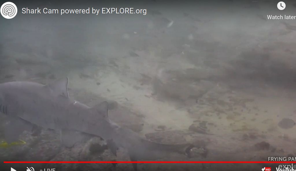 24bfe414-29fe-4916-beef-214008959342