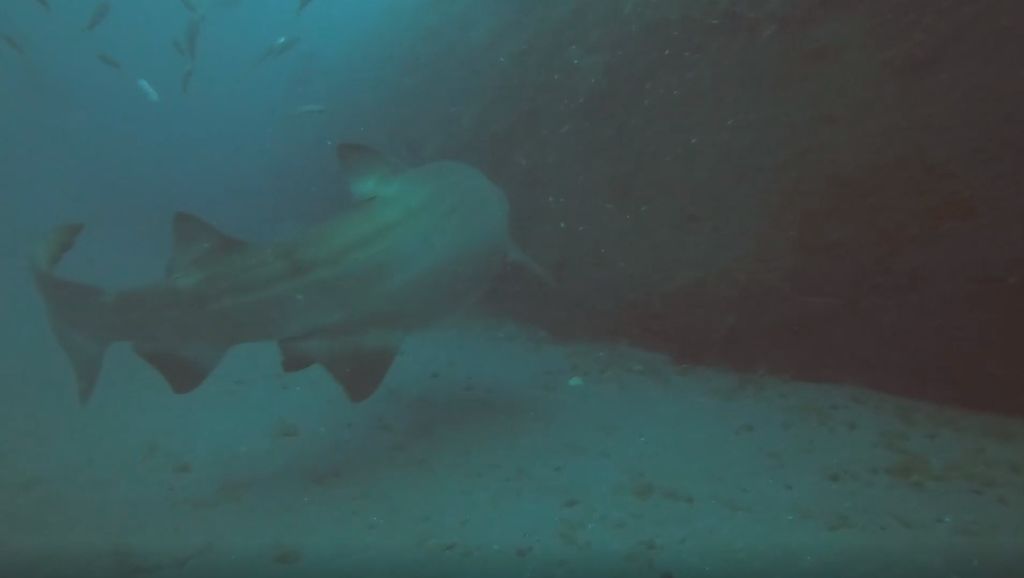 536ddd5f-9326-4057-907b-847f87cdb10b